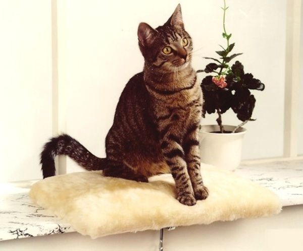 Fensterliege "Amy" beige