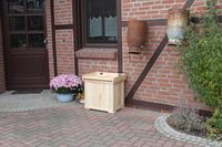 Promadino Kissenbox Patrick