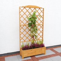 Promadino Rankkasten Botanica 110x210 cm