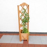 Promadino Eckelement Botanica 140 cm