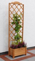 Promadino Rankkasten Botanica 69x210 cm