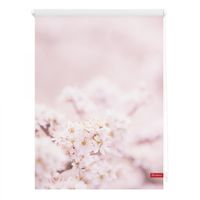 Rollo Klemmfix, ohne Bohren, blickdicht, Kirschblüten - Rosa Weiß, 45 cm x 150 cm (B x L)
