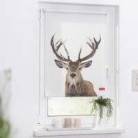 Rollo Klemmfix, ohne Bohren, blickdicht, Hirsch - Weiß Braun, 45 x 150 cm (B x L)