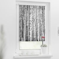 Rollo Klemmfix, ohne Bohren, blickdicht, Birken - Schwarz Weiß, 45 x 150 cm (B x L)