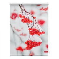 Rollo Klemmfix, ohne Bohren, blickdicht, Vogelbeeren - Rot Weiß, 60 cm x 150 cm (B x L)