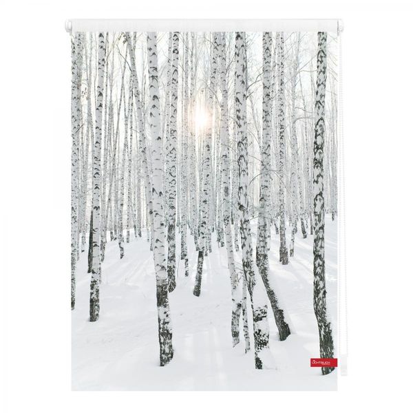 Rollo Klemmfix, ohne Bohren, blickdicht, Birkenwald - Weiß, 80 x 150 cm (B x L)