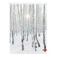 Rollo Klemmfix, ohne Bohren, blickdicht, Birkenwald - Weiß, 90 x 150 cm (B x L)