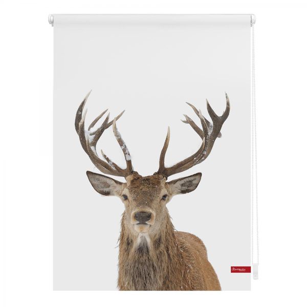 Rollo Klemmfix, ohne Bohren, blickdicht, Hirsch - Weiß Braun, 90 x 150 cm (B x L)