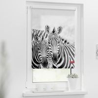Rollo Klemmfix, ohne Bohren, blickdicht, Zebra - Weiß Türkis, 100 cm x 150 cm (B x L)