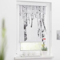 Rollo Klemmfix, ohne Bohren, blickdicht, Birkenwald - Weiß, 100 x 150 cm (B x L)