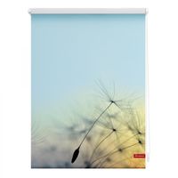 Rollo Klemmfix, ohne Bohren, blickdicht, Pusteblume - Blau, 100 x 150 cm (B x L)