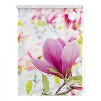 Rollo Klemmfix, ohne Bohren, blickdicht, Magnolie - Rosa, 120 x 150 cm (B x L)