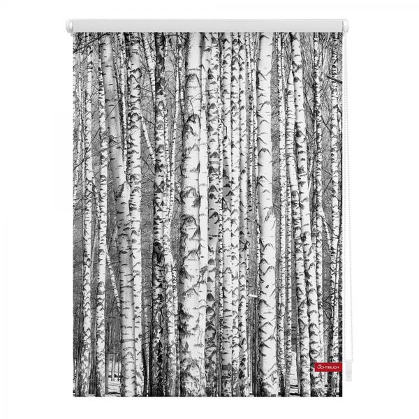 Rollo Klemmfix, ohne Bohren, blickdicht, Birken - Schwarz Weiß, 120 x 150 cm (B x L)