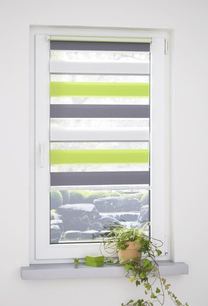 Klemmfix Duo-Rollo mini dreifarbig 160 x 45 (H x B) grün/grau/weiß