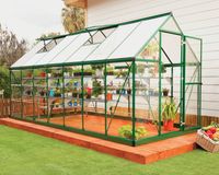 Gewächshaus Hybrid 6X14 Grün+ 4x Schwerlastregal und Gewächshaus-Clips