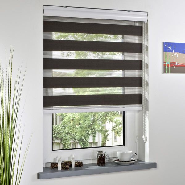 Duo-Rollo mit Blende, Rollo, lichtdurchlässig, Sonnenschutz, 60 x 160 cm espresso