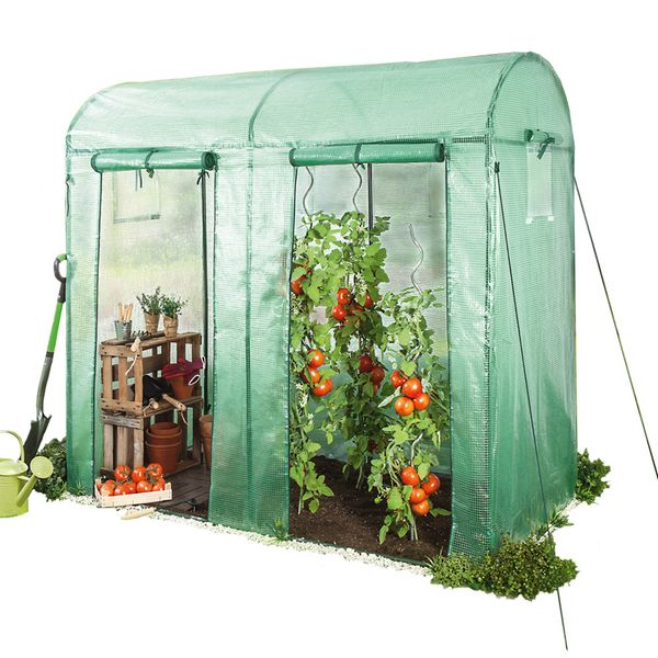 Tomatengewächshaus mit 2 Toren, ca. 200 x 100 x 150/180 cm - Grün