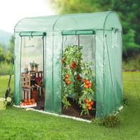 Tomatengewächshaus mit 2 Tore und 2 Fenstern, ca. 200 x 100 x 150/180 cm - Grün