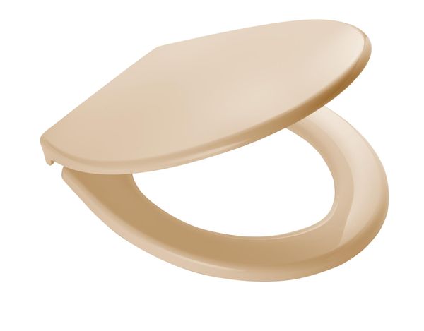 WC-Sitz Miami, beige, mit Soft-Close, Polypropylen