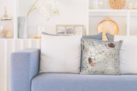 Spark Pillow 210 Elfenbein / Chrom