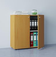 my office Aktenschrank Vandol Mini Buche