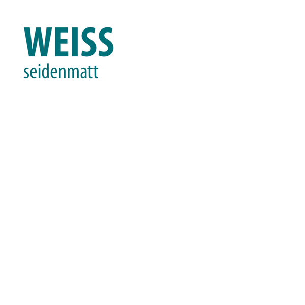 professional Fassadenfarbe Plus 10L