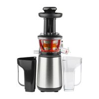 Entsafter Slow Juicer GSX12 Silber
