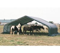 ShelterLogic Weidezelt Run-In-Shed 49,6 m² grün