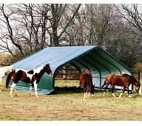ShelterLogic Weidezelt Run-In-Shed 49,6 m² grün