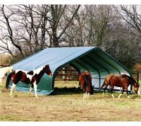 ShelterLogic Weidezelt Run-In-Shed 40,87 m² grün