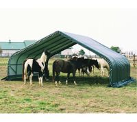 ShelterLogic Weidezelt Run-In-Shed 40,87 m² grün