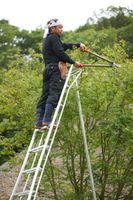 Niwaki Gartenleiter und 3-Holm-Leiter 300 cm