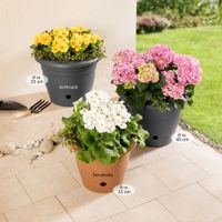 Blumentopf "Flora", Ø ca. 33 cm, Terrakotta - 2er Set