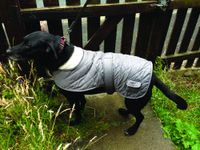 Banbury - Hundemantel Gr. S