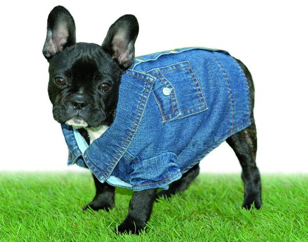 Jeans-Overall Gr. 60