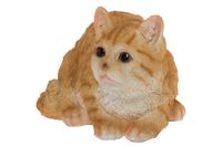 My Flair Katze, orange/weiß gestreift