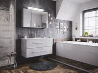 Badmöbel-Set Homeline 100 (2-teilig) beton inkl. Spiegelschrank mit Design LED-Lampe EEK: F