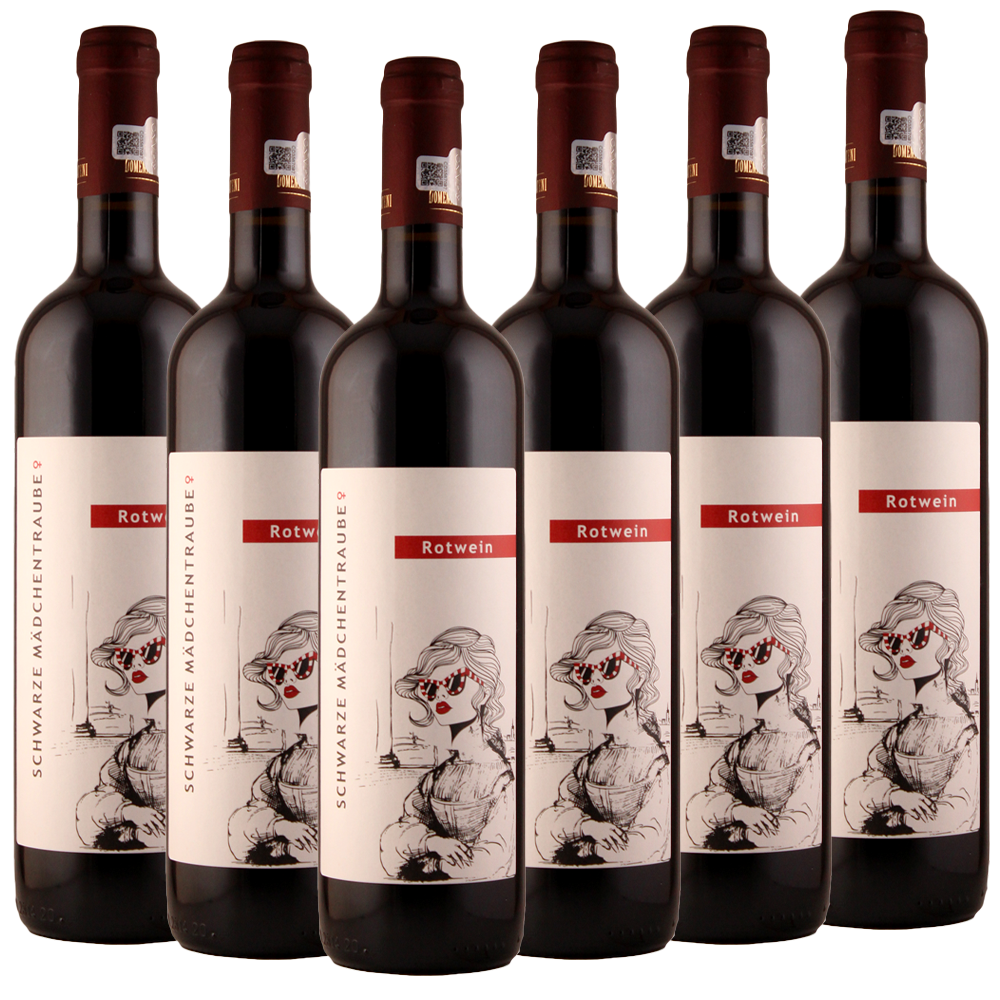 SCHWARZE MÄDCHENTRAUBE (Feteasca Neagra)  - 6er Karton