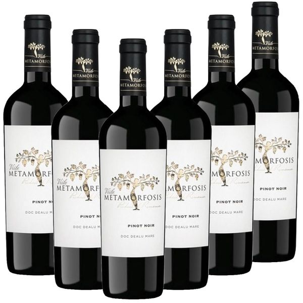 METAMORFOSIS Pinot Noir DOC - 6er Karton