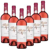 METAMORFOSIS Rose Cuvee (Merlot & Pinot Noir & Syrah & Cabernet Sauvignon) DOC - 6er Karton
