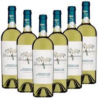 METAMORFOSIS Weiße Mädchentraube (Feteascä Alba) & Sauvignon Blanc - 6er Karton