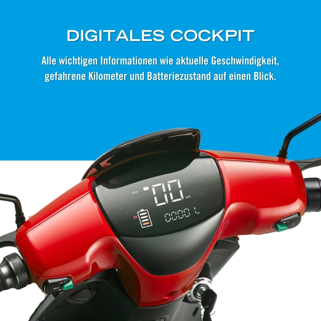 Miniaturansicht des Produkts