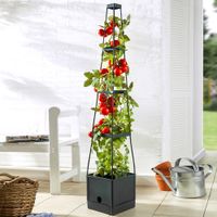 Tomatenturm 16 Liter, ca. 25 x 25 x 150 cm - Anthrazit