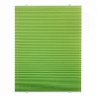 Plissee Haftfix, ohne Bohren Grün, 55 cm x 130 cm (B x L)