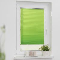 Plissee Haftfix, ohne Bohren Grün, 85 cm x 130 cm (B x L)