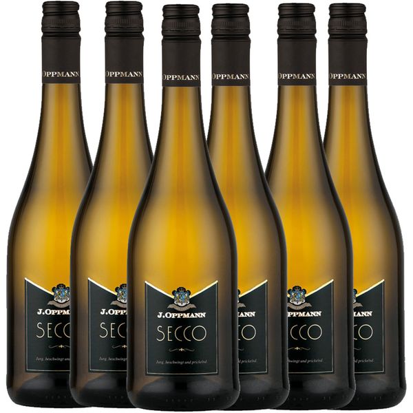 Secco trocken 6er-Karton