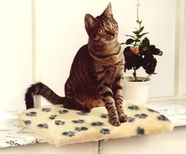 Katzen Fensterliege Jacquard-Pfote