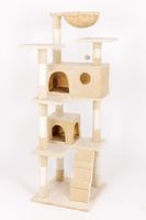 Katzenbaum Marley