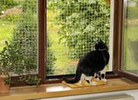 Katzen Sicherheitsnetz 2x2 m