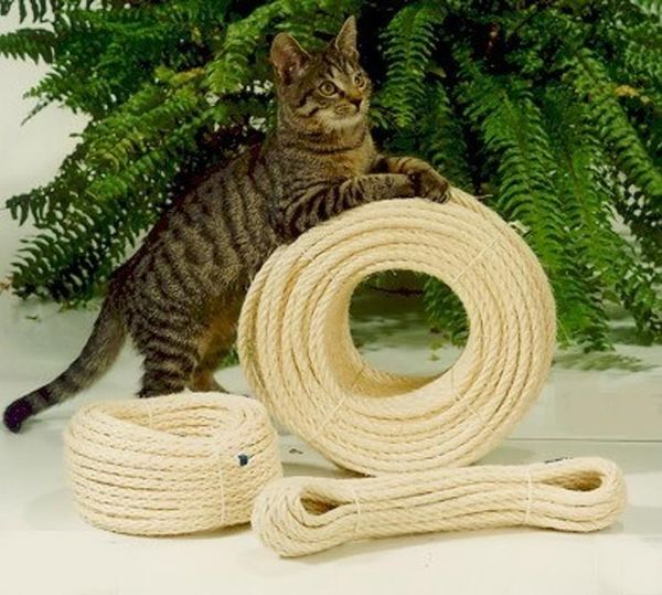 Katzen Sisaltauwerk 50 m
